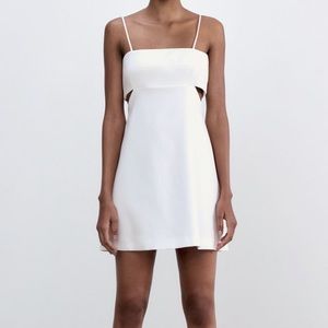 Zara Dress With Cut Outs